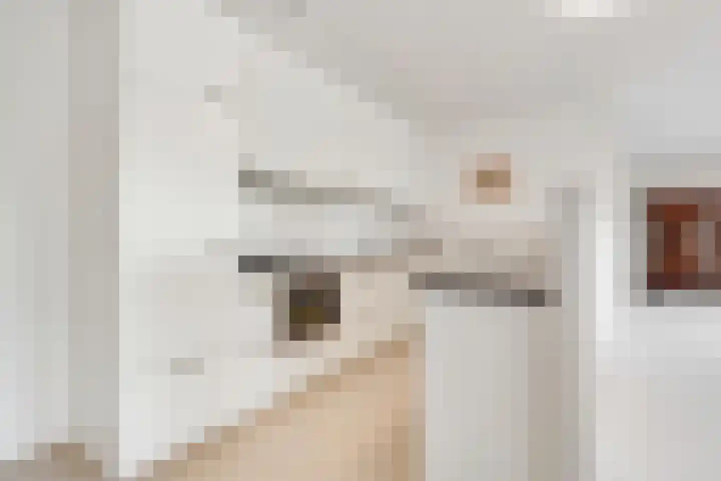 Amersfoortseweg 43 Doorn thumbnail 22