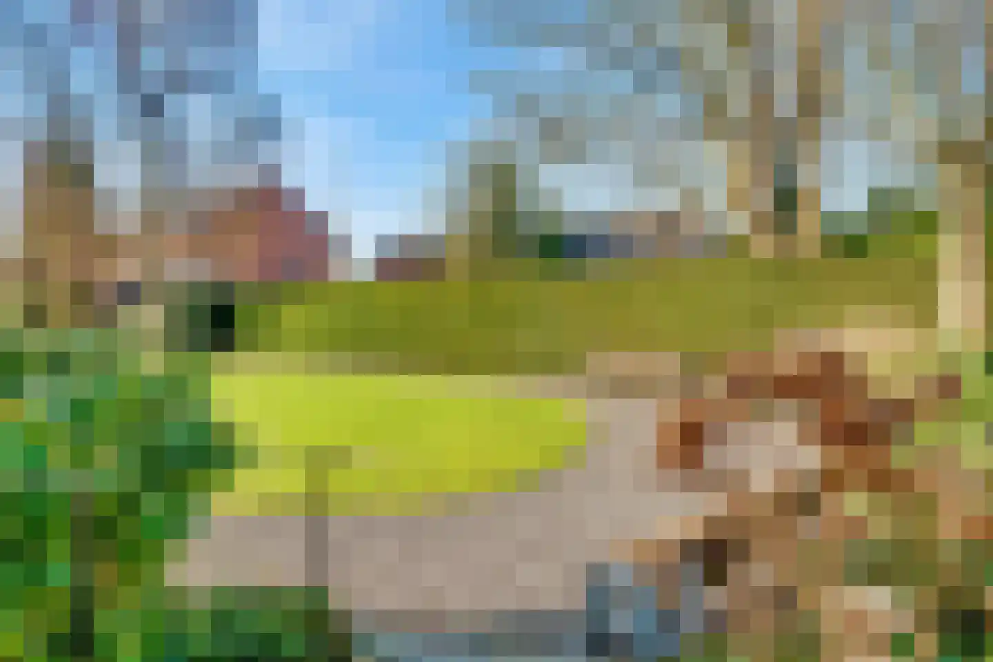 Amersfoortseweg 43 Doorn thumbnail 45