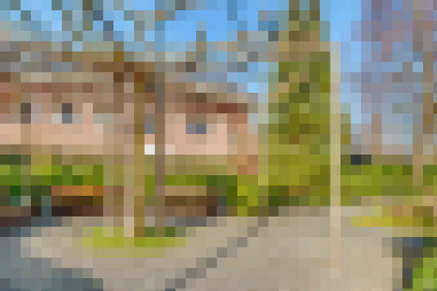 Amersfoortseweg 43 Doorn thumbnail 46