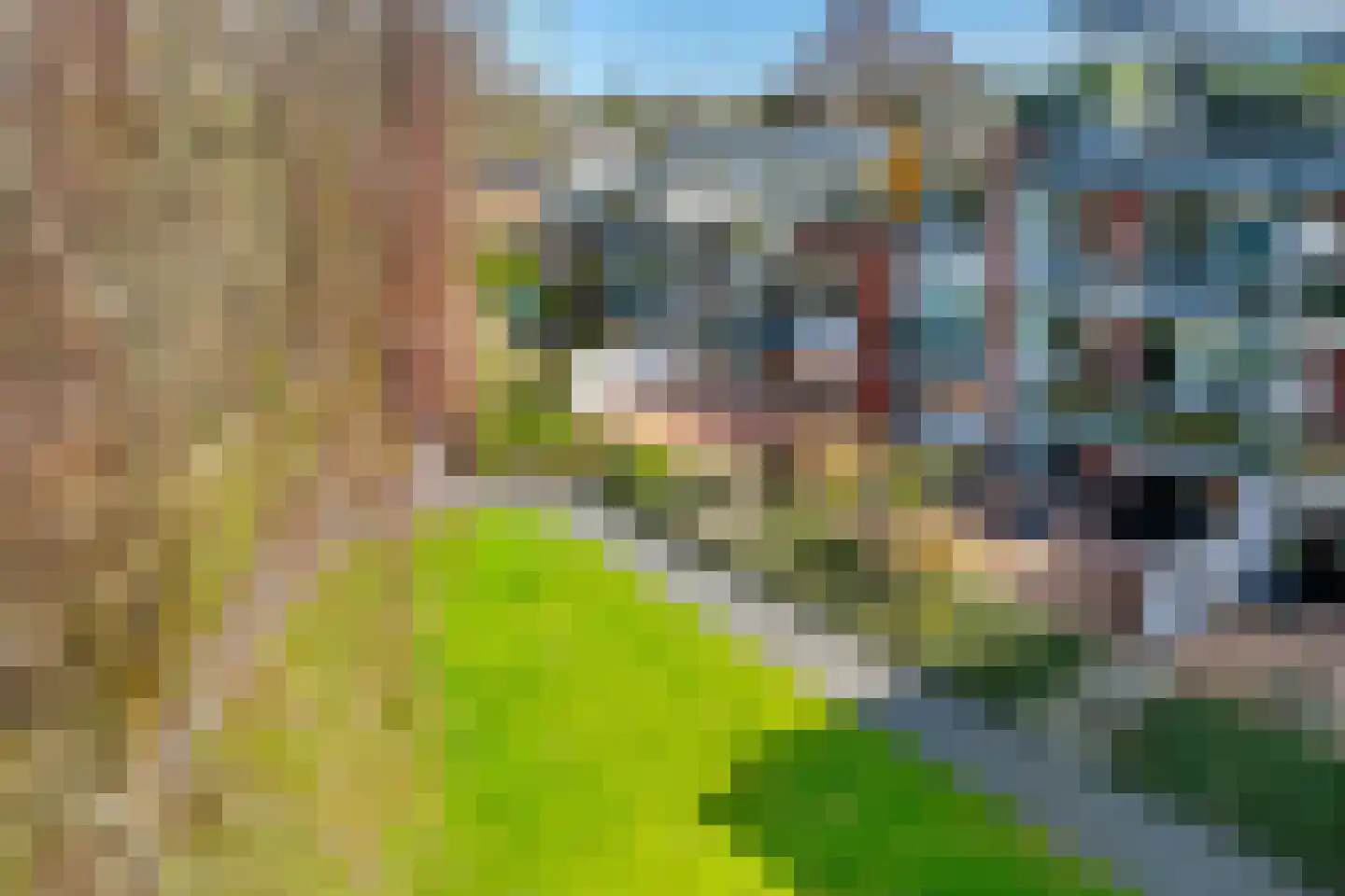 Amersfoortseweg 43 Doorn thumbnail 53