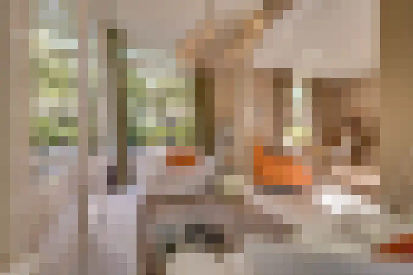 Amersfoortseweg 5 Apeldoorn thumbnail 12