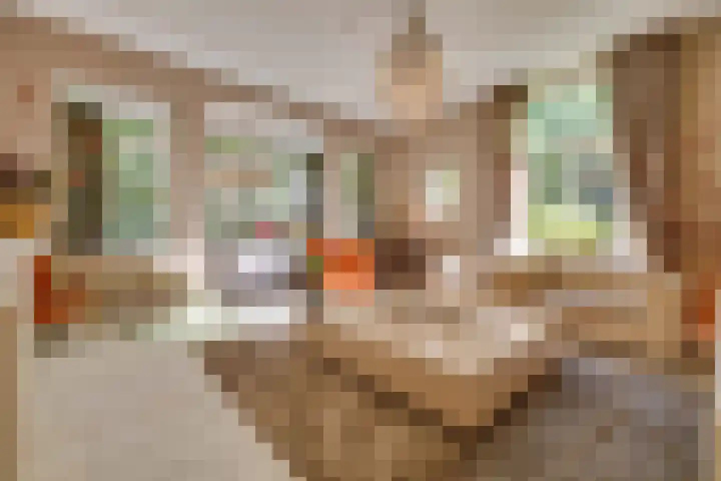 Amersfoortseweg 5 Apeldoorn thumbnail 4