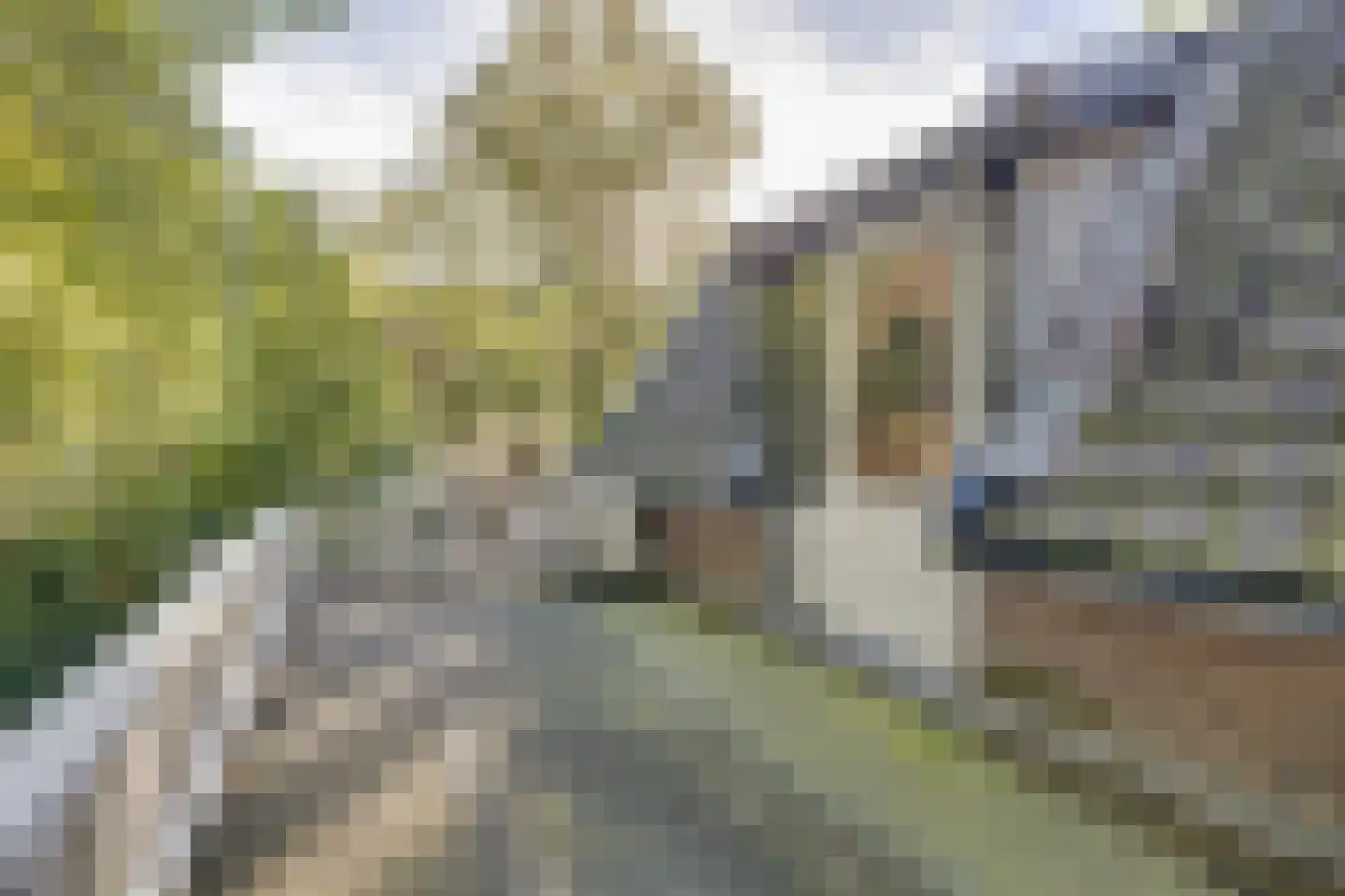 Amersfoortseweg 5 Apeldoorn thumbnail 42