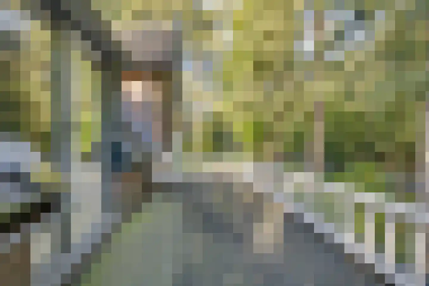 Amersfoortseweg 5 Apeldoorn thumbnail 43