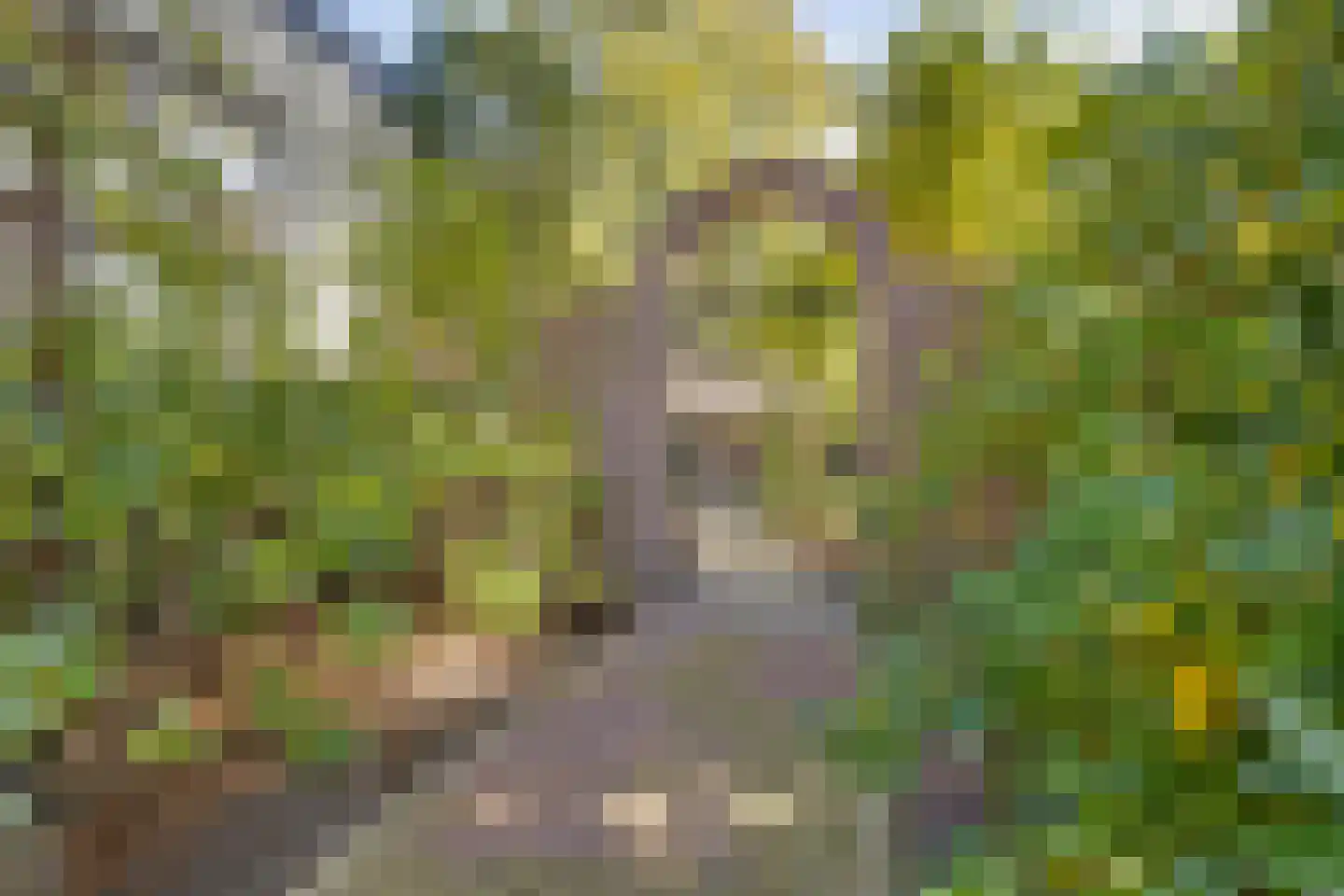 Amersfoortseweg 5 Apeldoorn thumbnail 55