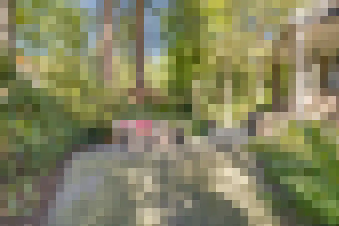 Amersfoortseweg 5 Apeldoorn thumbnail 58