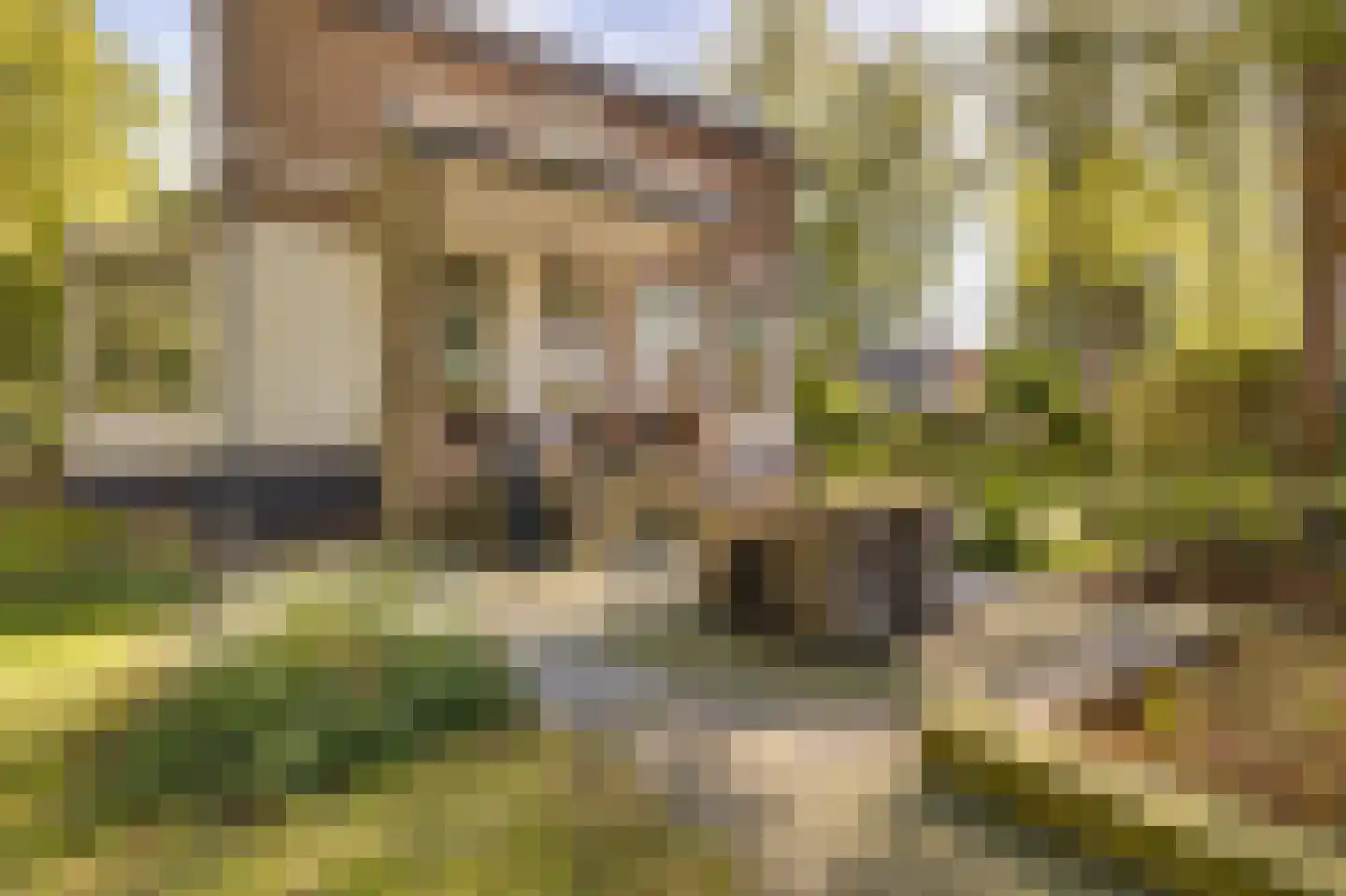 Amersfoortseweg 5 Apeldoorn thumbnail 60