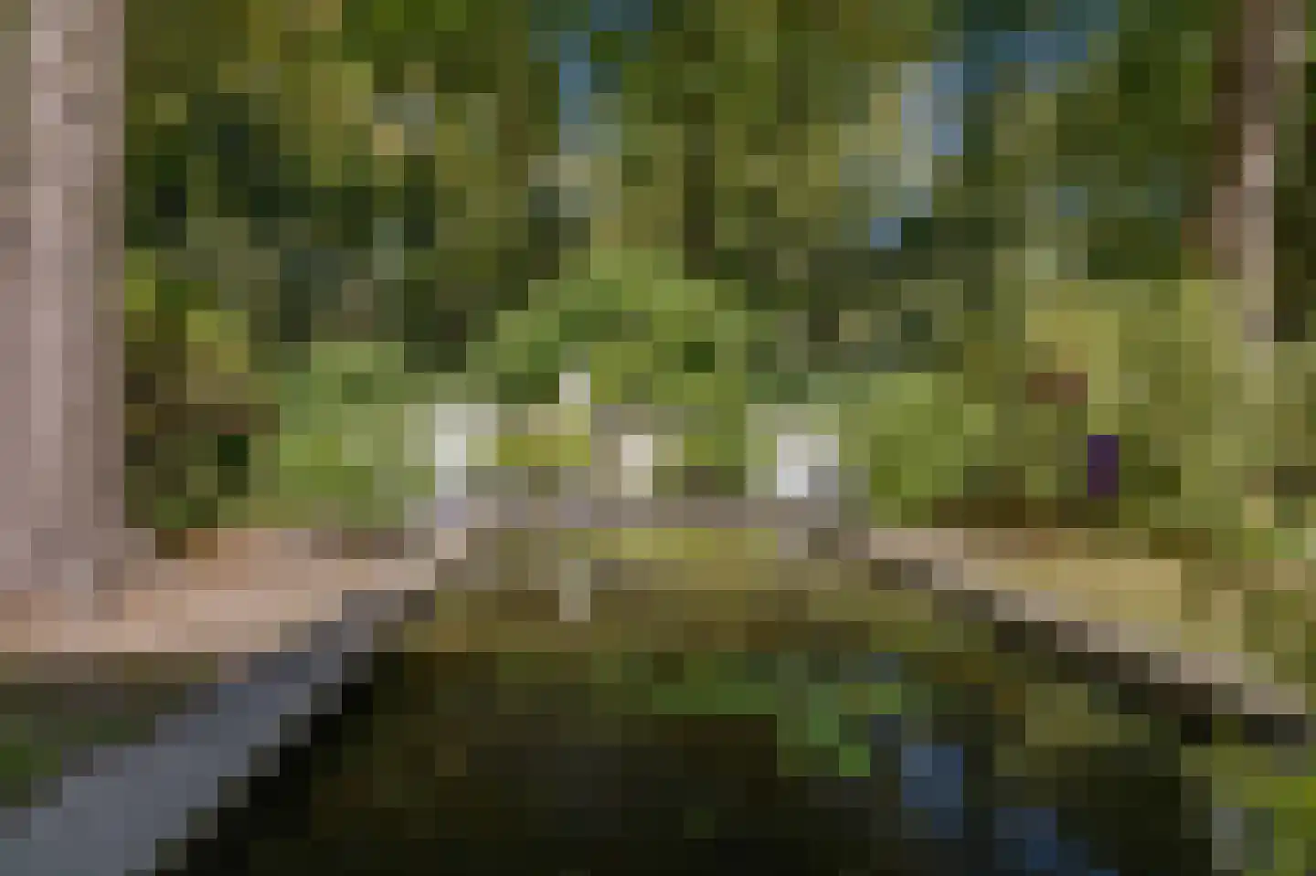 Amersfoortseweg 5 Apeldoorn thumbnail 62