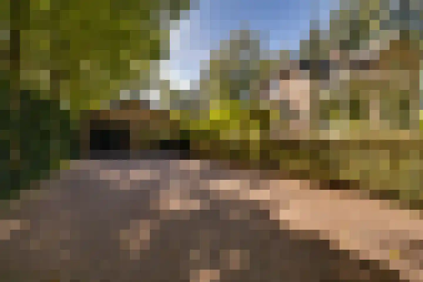 Amersfoortseweg 5 Apeldoorn thumbnail 64