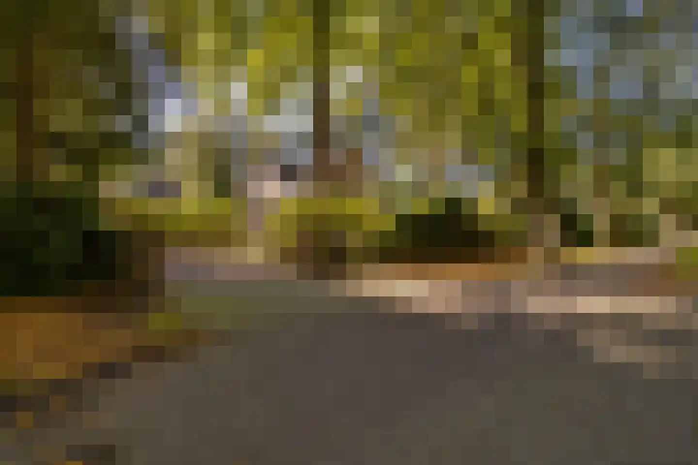 Amersfoortseweg 5 Apeldoorn thumbnail 65