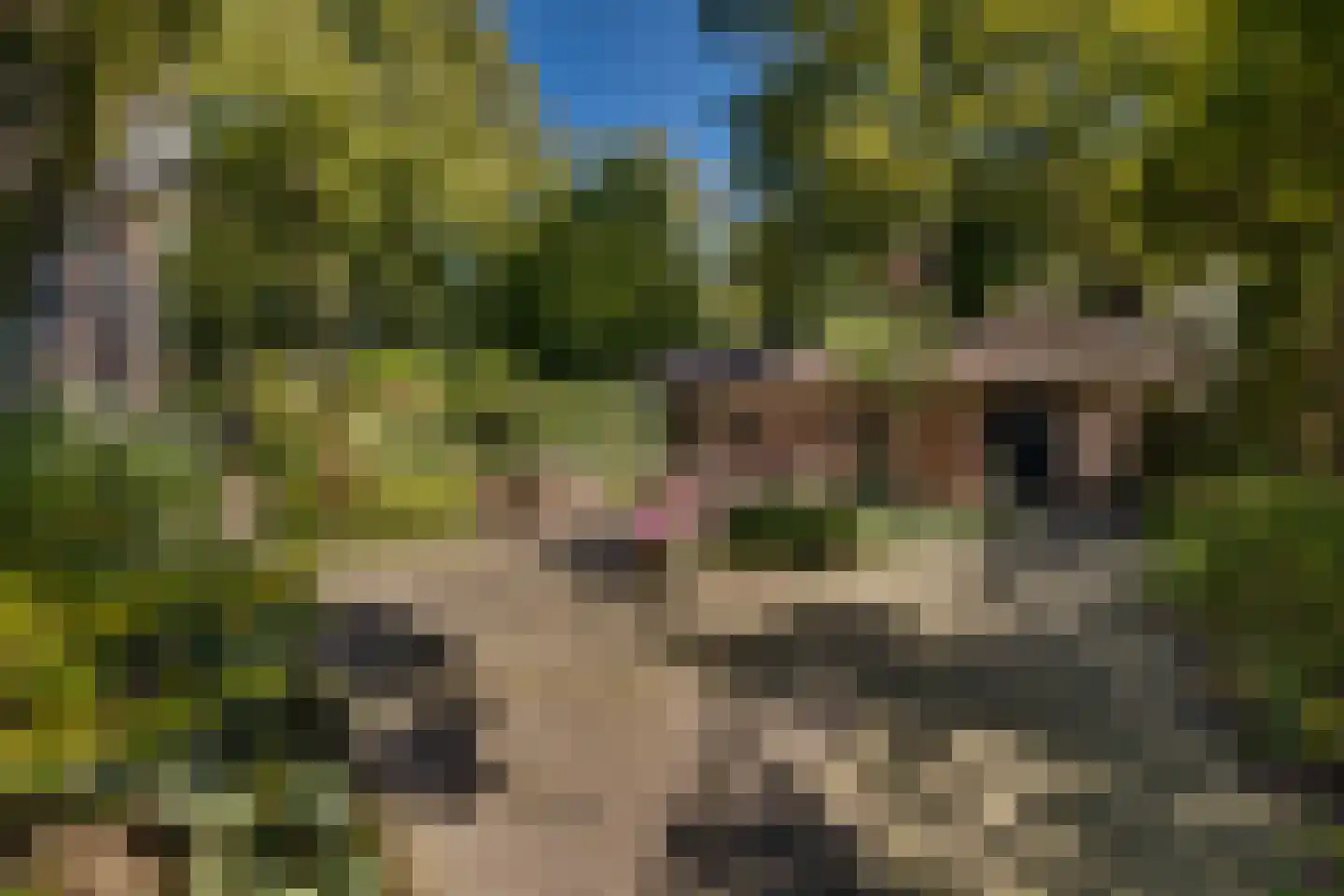 Amersfoortseweg 5 Apeldoorn thumbnail 66