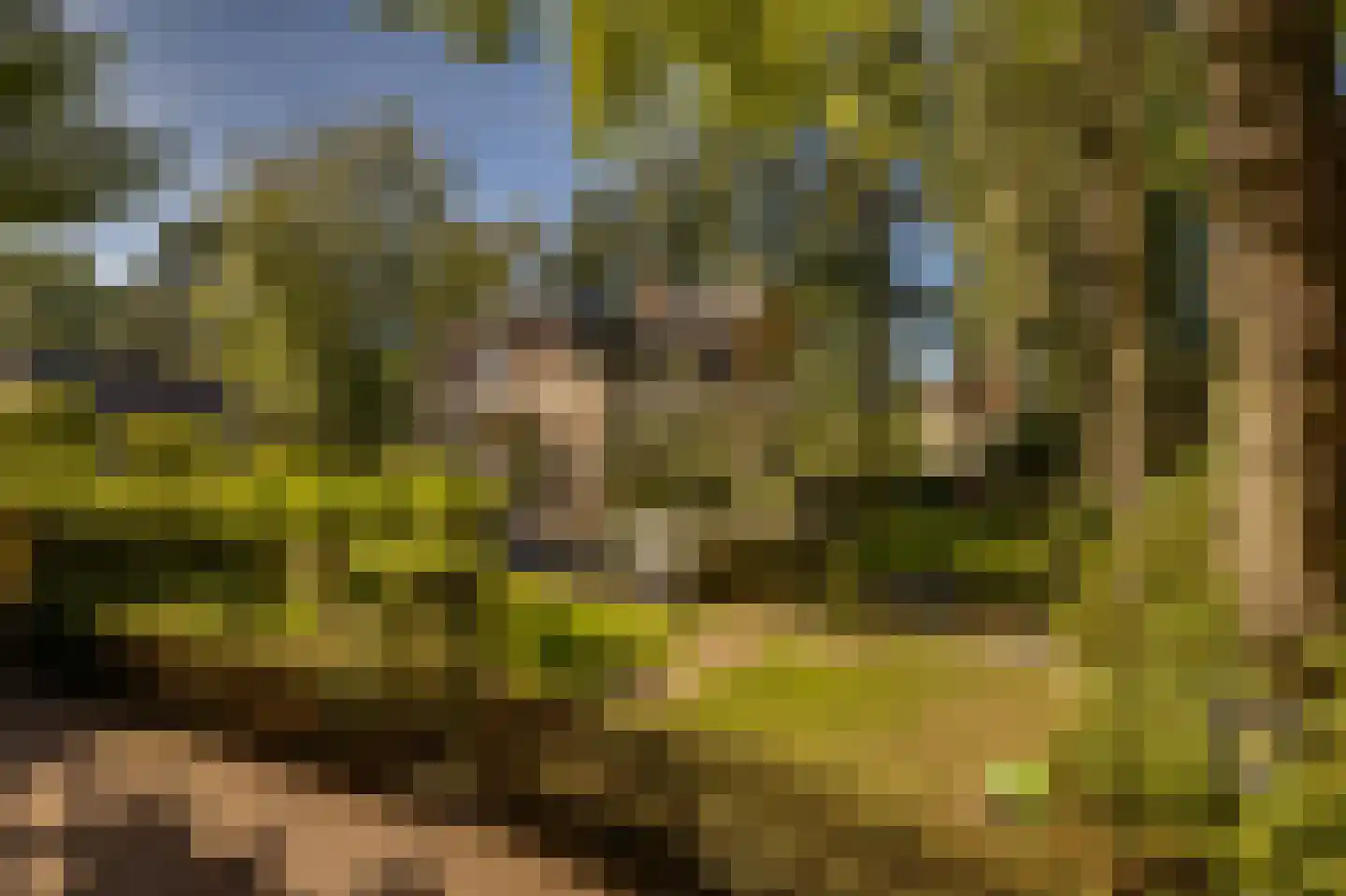 Amersfoortseweg 5 Apeldoorn thumbnail 68