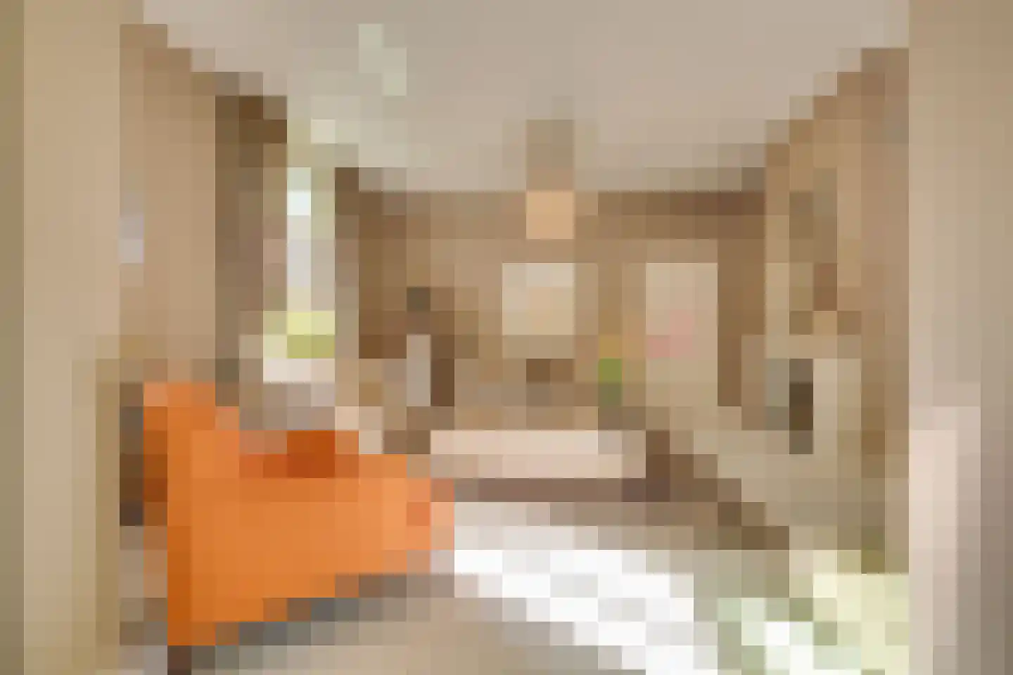 Amersfoortseweg 5 Apeldoorn thumbnail 7