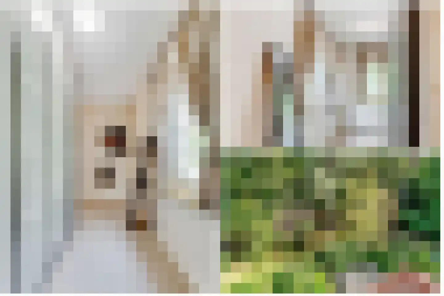 Amersfoortseweg 5 Bosch en Duin thumbnail 34