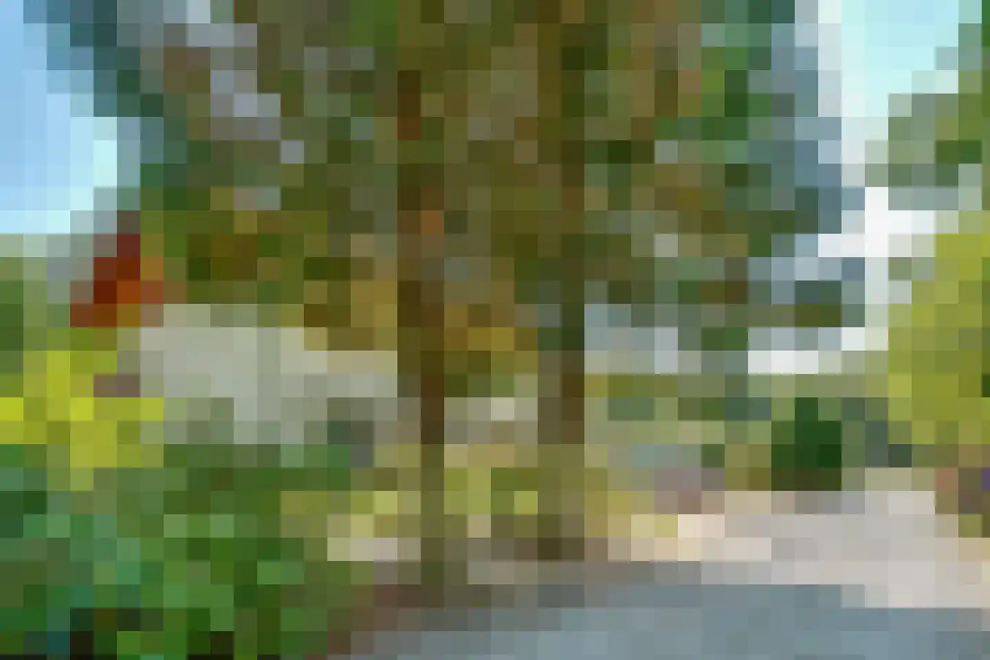 Amersfoortseweg 5 Bosch en Duin thumbnail 44