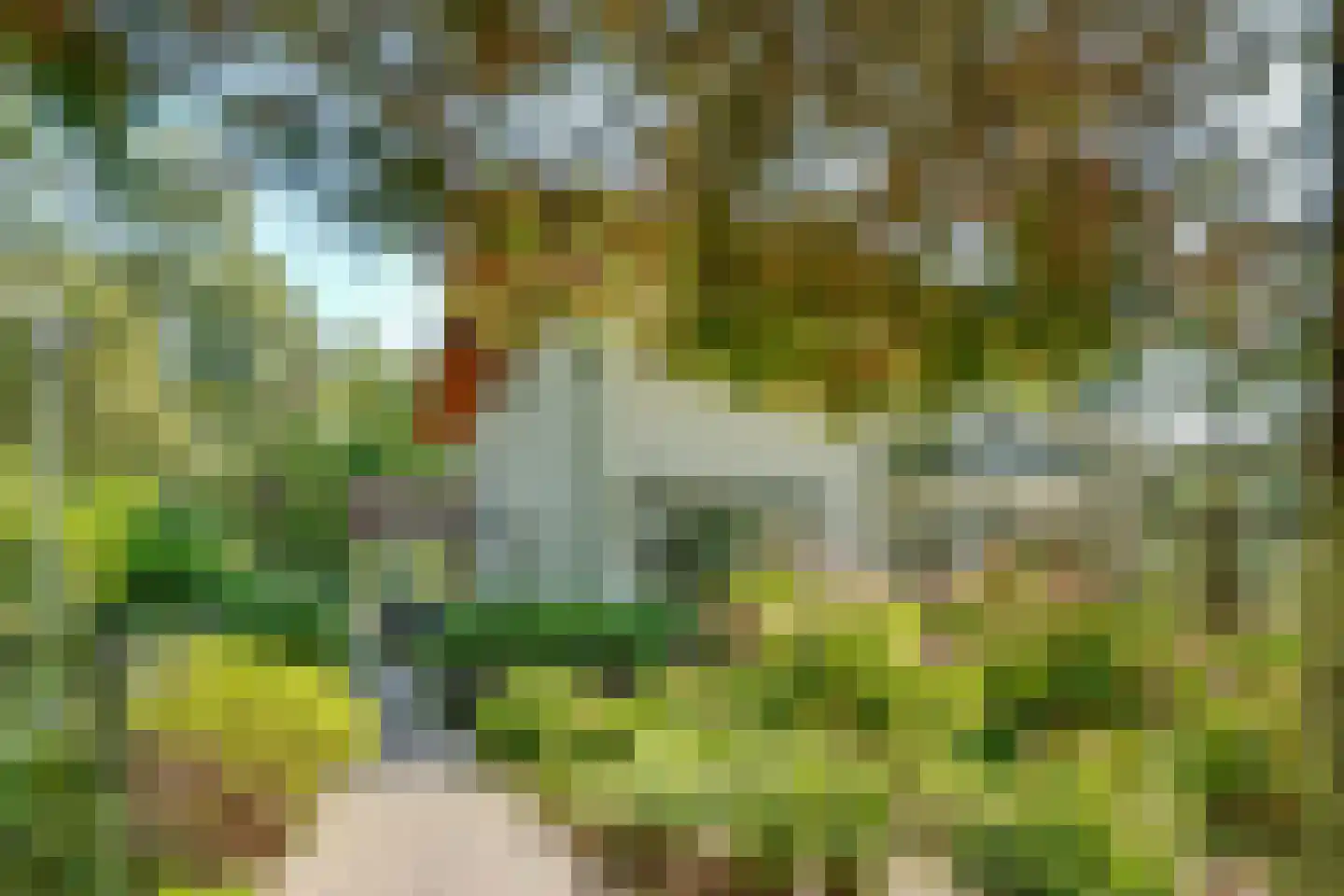 Amersfoortseweg 5 Bosch en Duin thumbnail 45