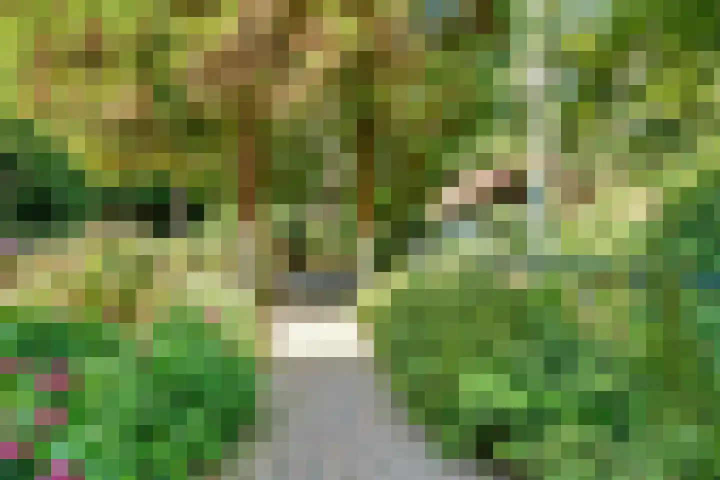 Amersfoortseweg 5 Bosch en Duin thumbnail 49