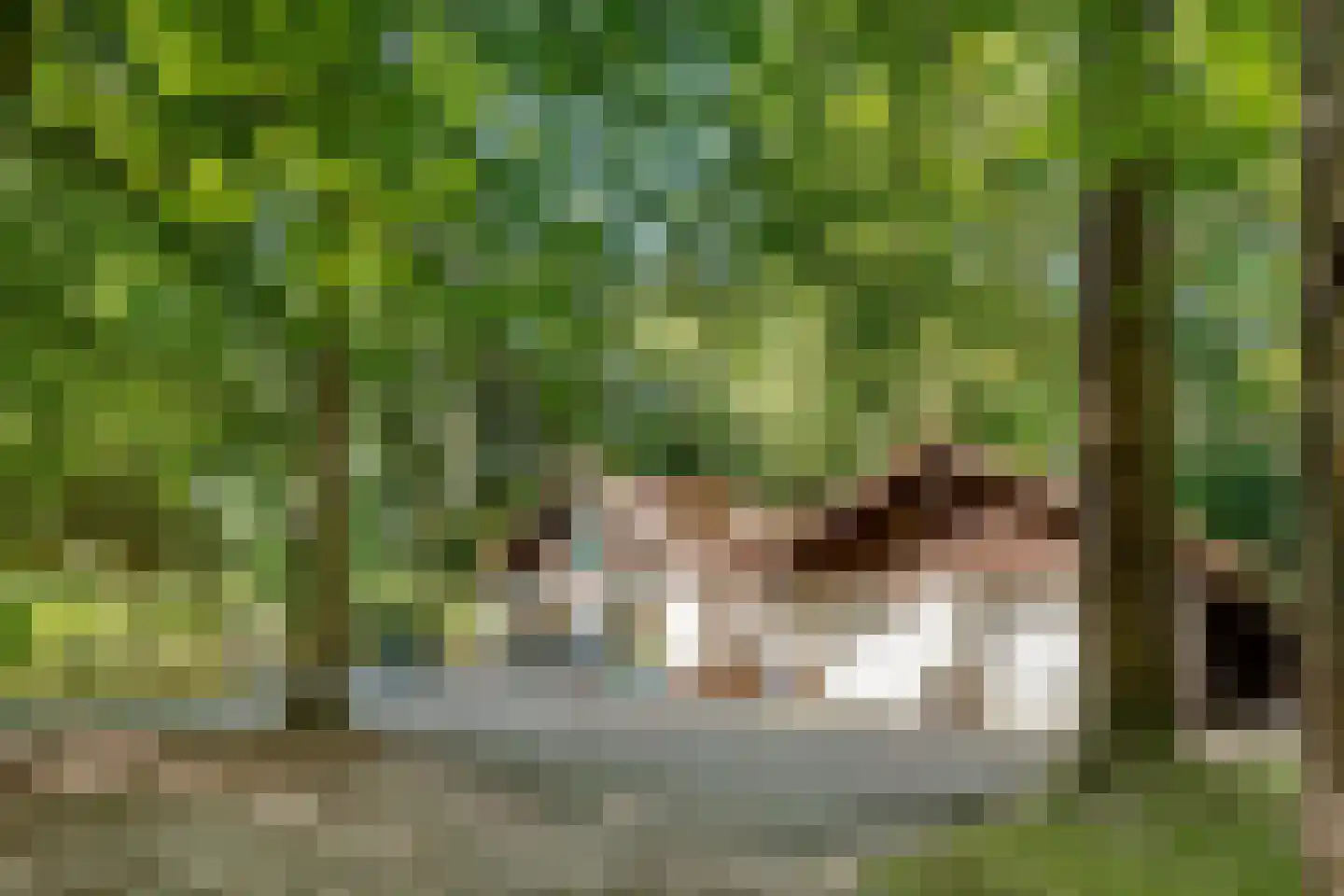 Amersfoortseweg 5 Bosch en Duin thumbnail 52