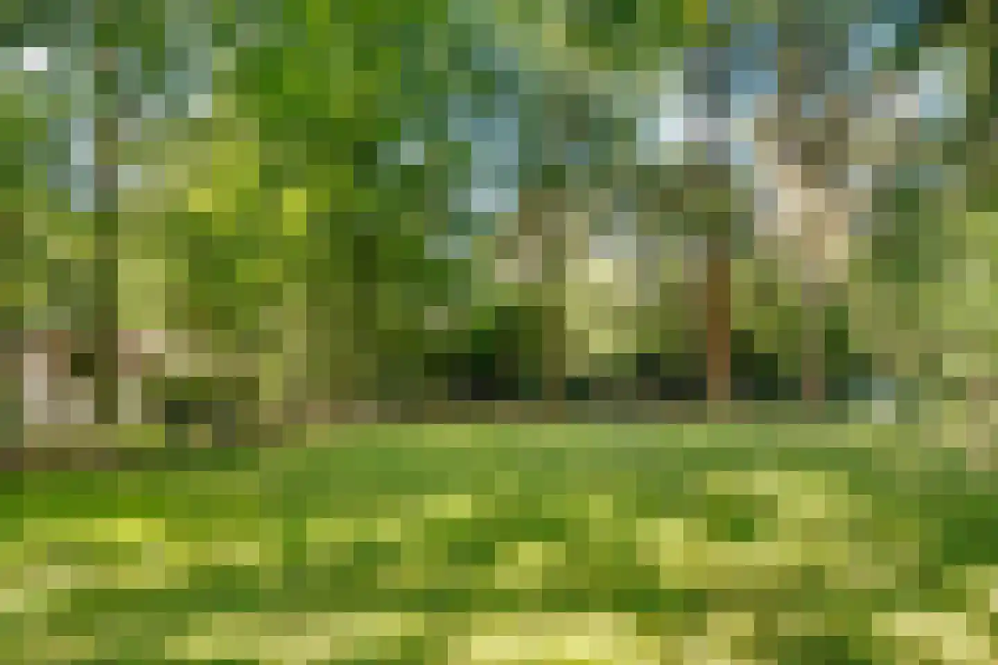 Amersfoortseweg 5 Bosch en Duin thumbnail 53