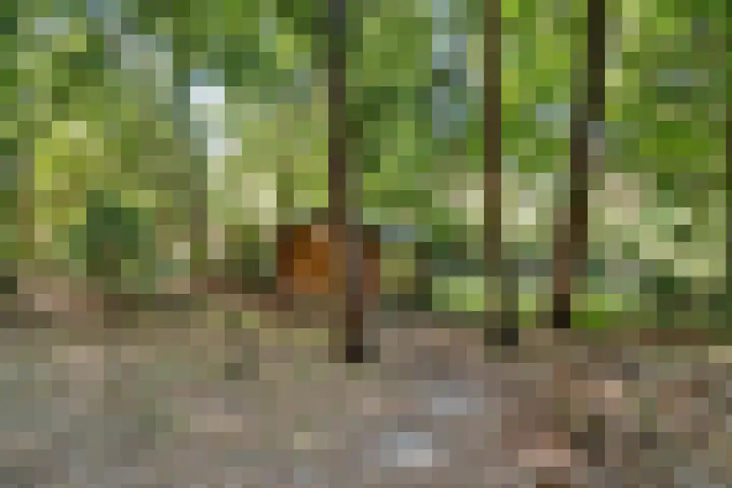 Amersfoortseweg 5 Bosch en Duin thumbnail 54