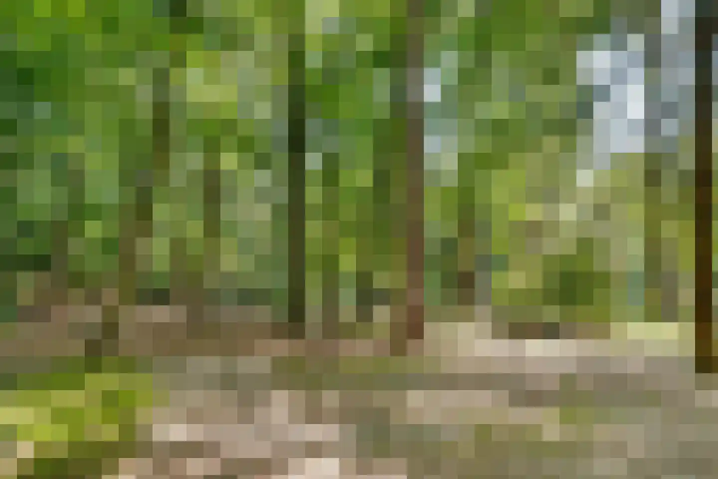 Amersfoortseweg 5 Bosch en Duin thumbnail 55