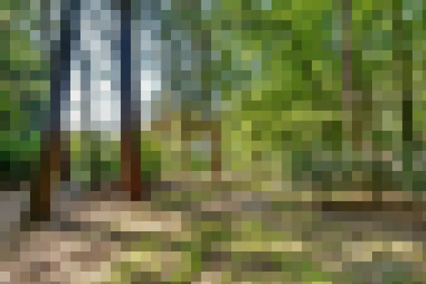 Amersfoortseweg 5 Bosch en Duin thumbnail 56