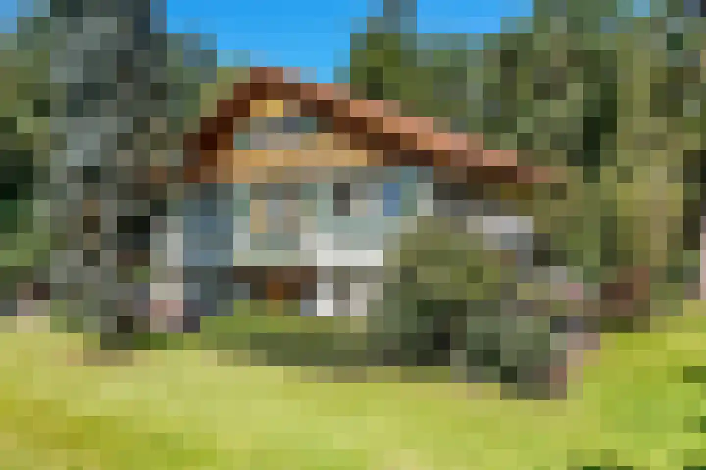 Amersfoortseweg 5 Bosch en Duin thumbnail 59