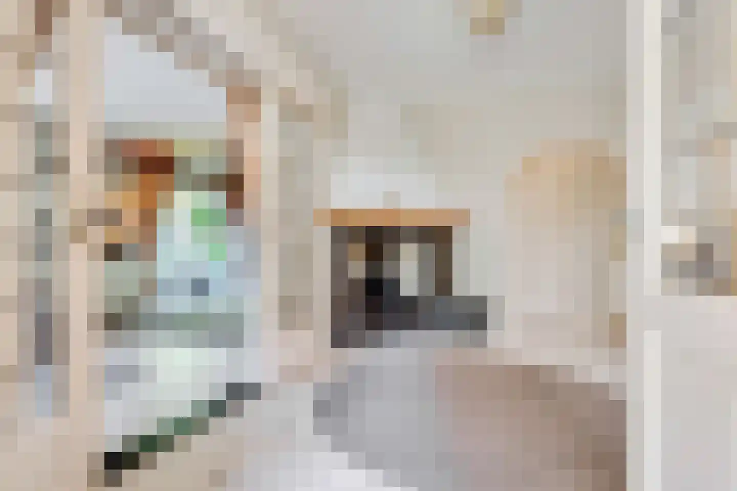 Amersfoortseweg 5 Bosch en Duin thumbnail 8