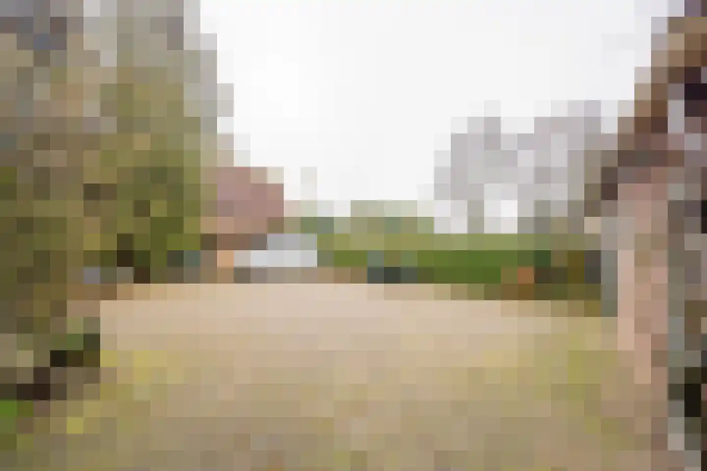 Amersfoortseweg 93 Nijkerkerveen thumbnail 31