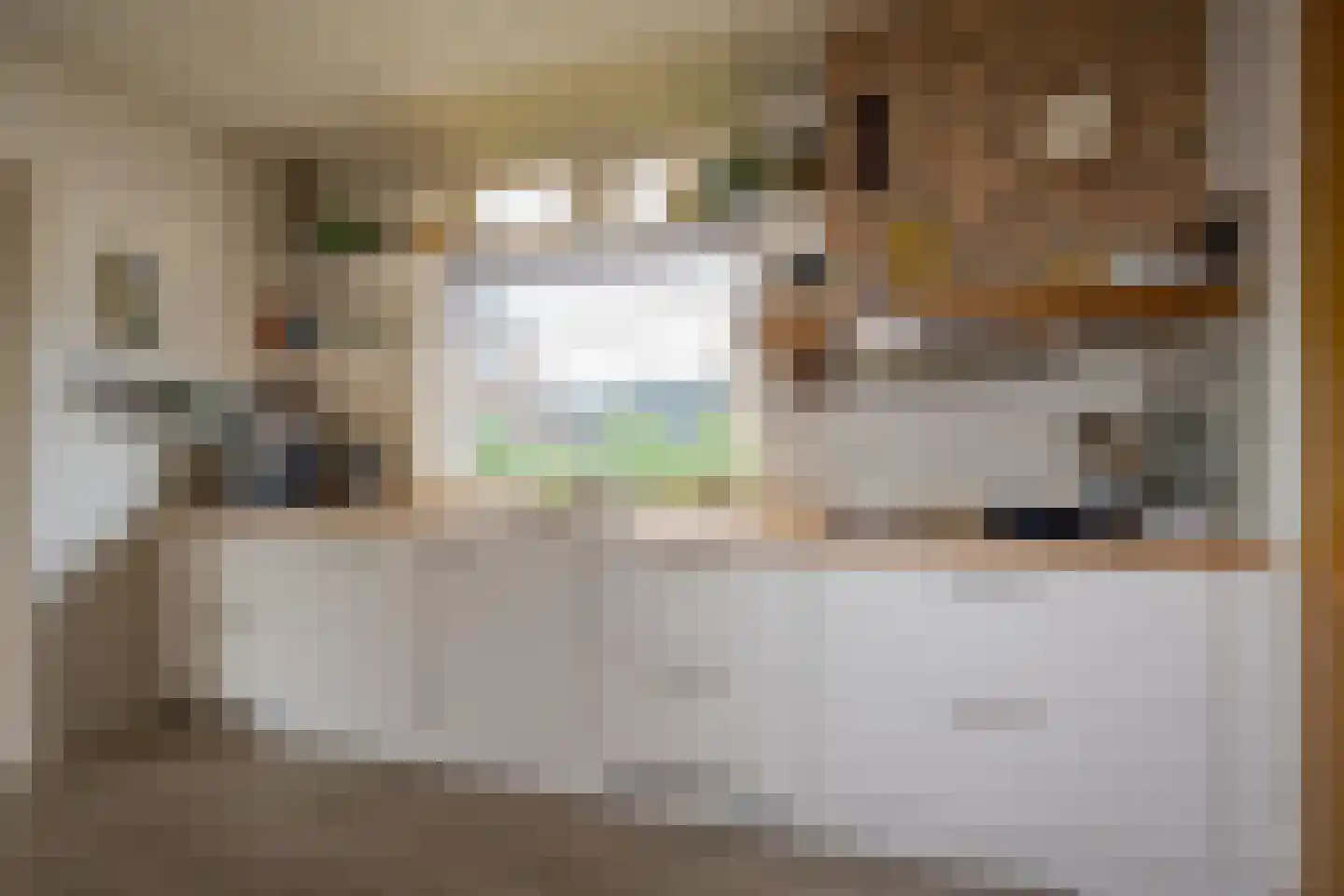 Amersfoortseweg 93 Nijkerkerveen thumbnail 8