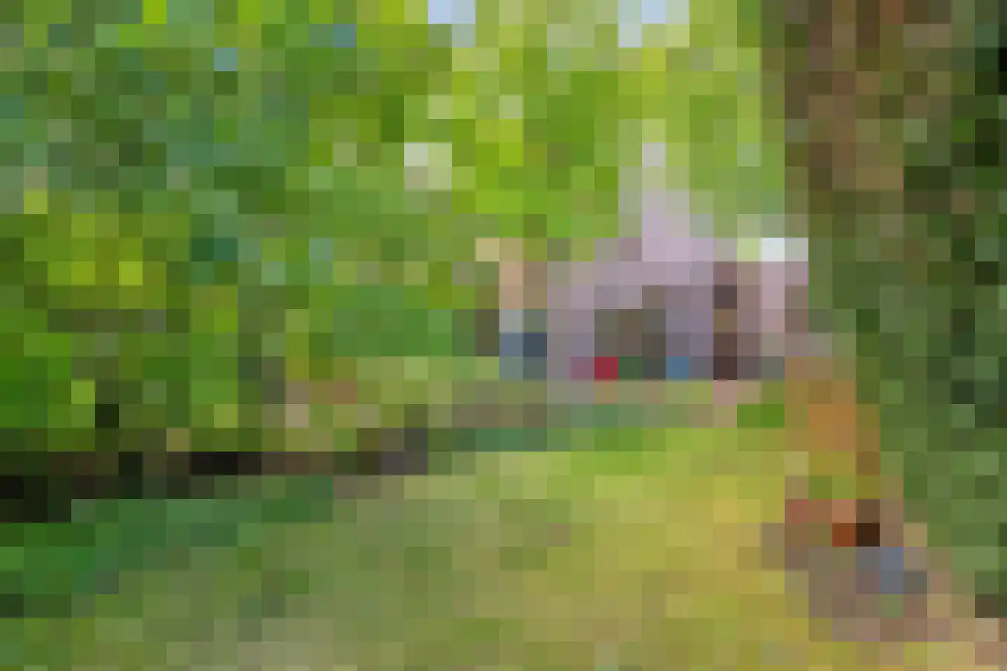 Amersfoortweg 11 Almere thumbnail 18