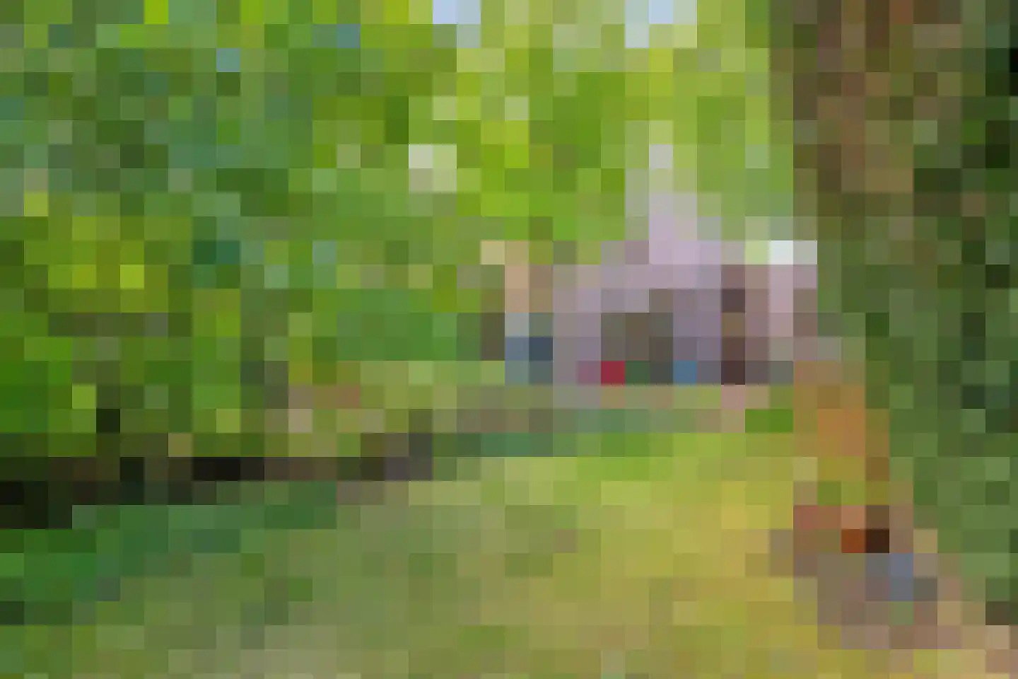 Amersfoortweg 11 Almere thumbnail 20