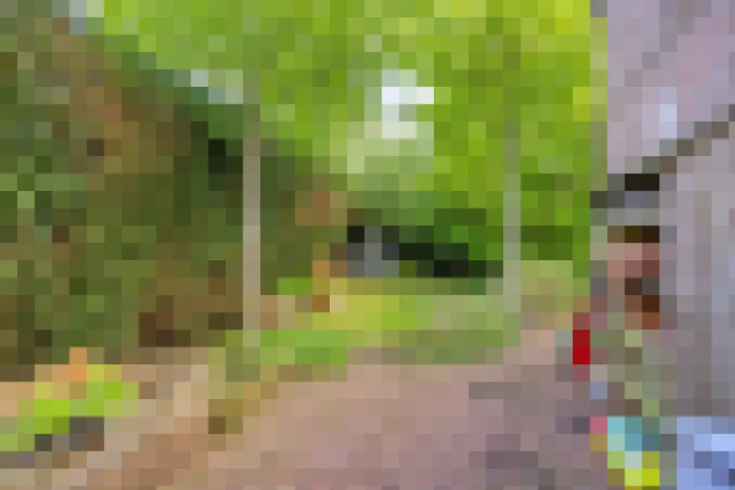 Amersfoortweg 11 Almere thumbnail 21