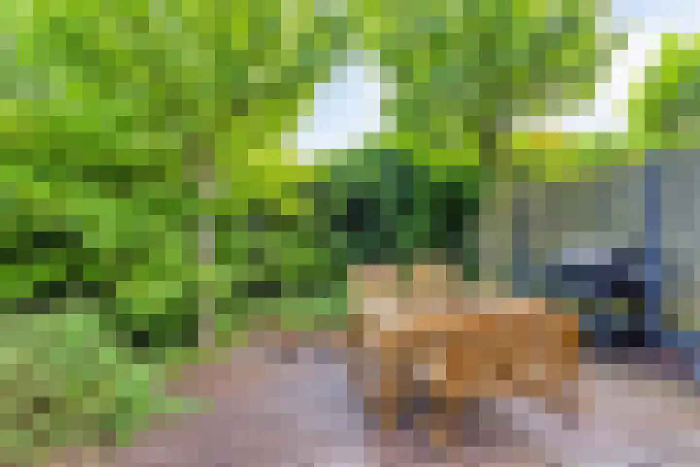 Amersfoortweg 11 Almere thumbnail 5