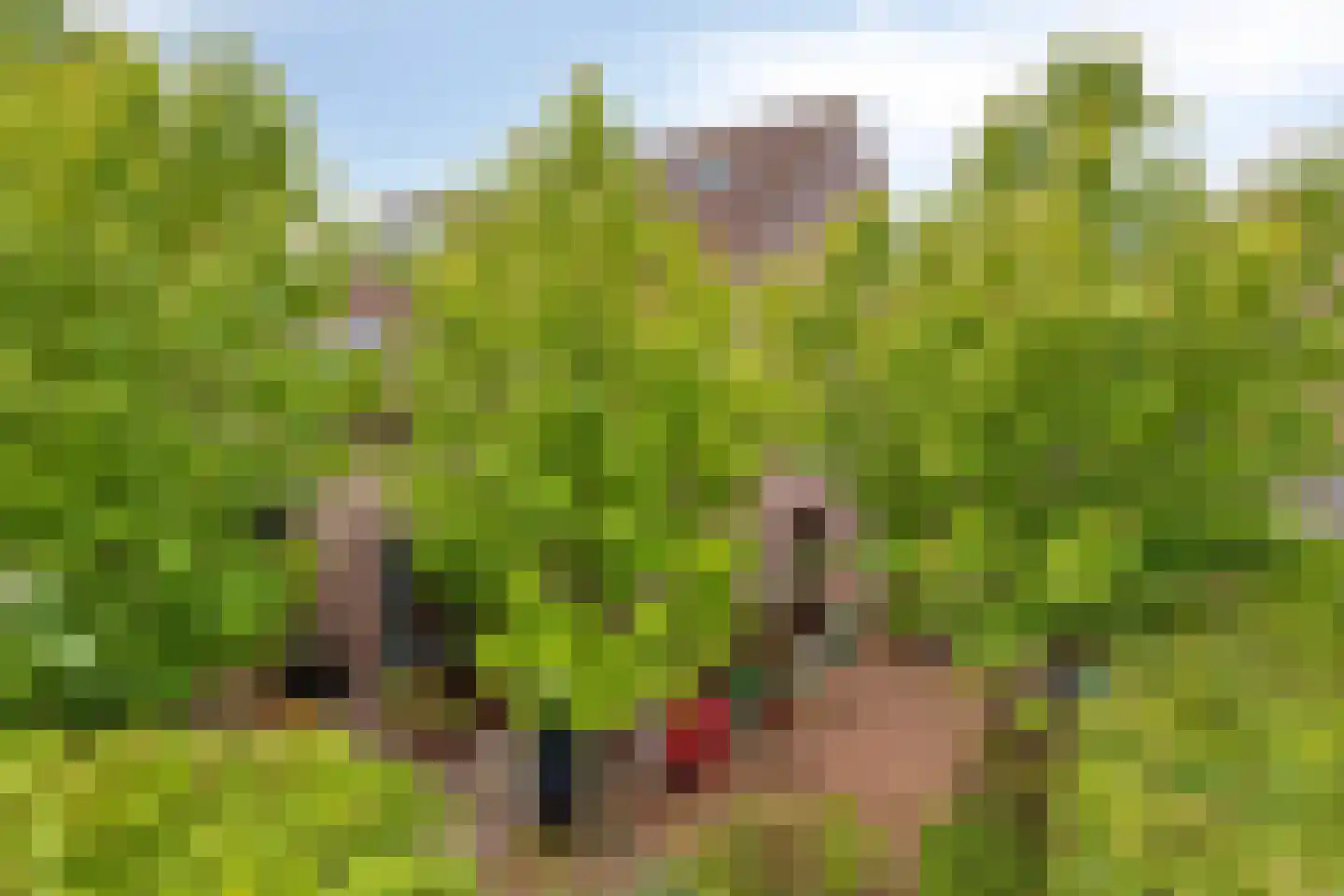 Amersfoortweg 11 Almere thumbnail 7