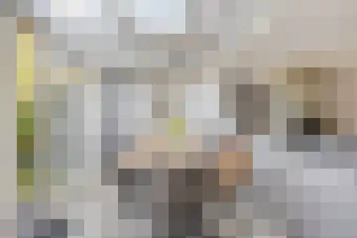 Amersfoortweg 3 Almere thumbnail 10