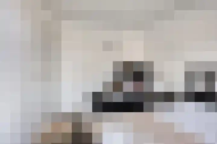 Amersfoortweg 3 Almere thumbnail 19