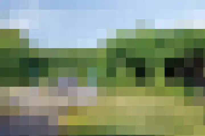 Amersfoortweg 3 Almere thumbnail 27