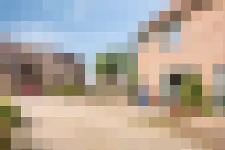 Amersfoortweg 3 Almere thumbnail 5