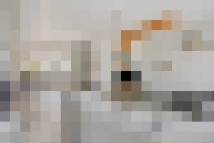 Amersfoortweg 3 Almere thumbnail 8