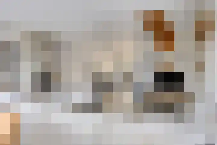Amersfoortweg 3 Almere thumbnail 9