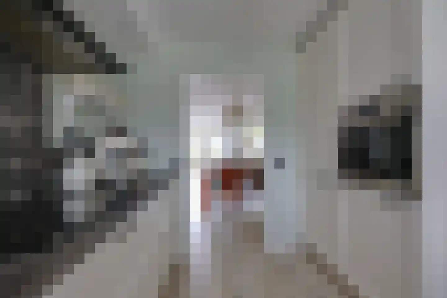 Amersfoortweg 9 Almere thumbnail 16