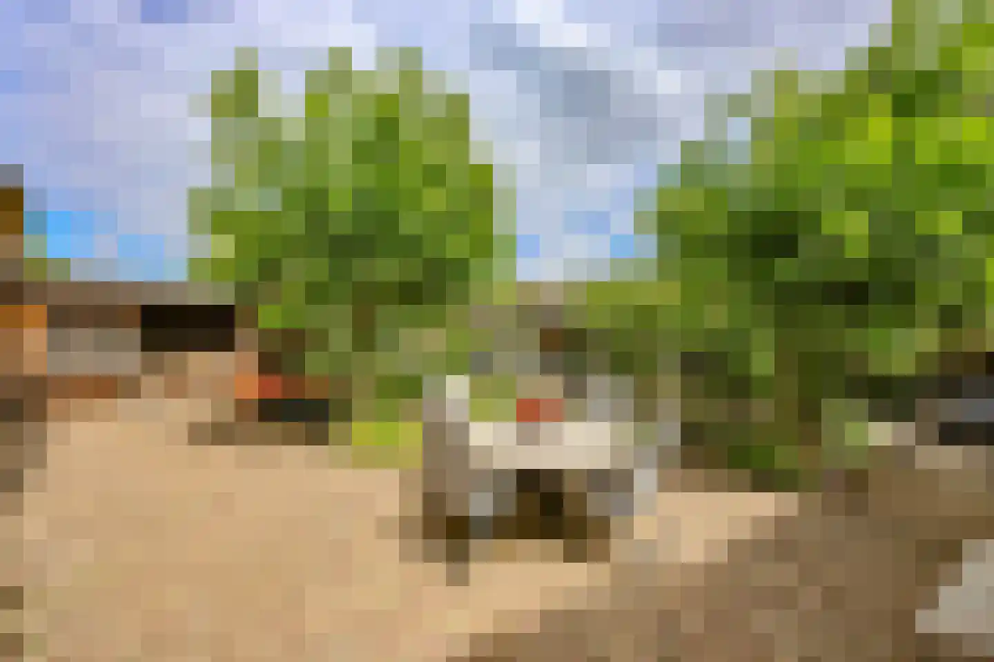 Amersfoortweg 9 Almere thumbnail 43