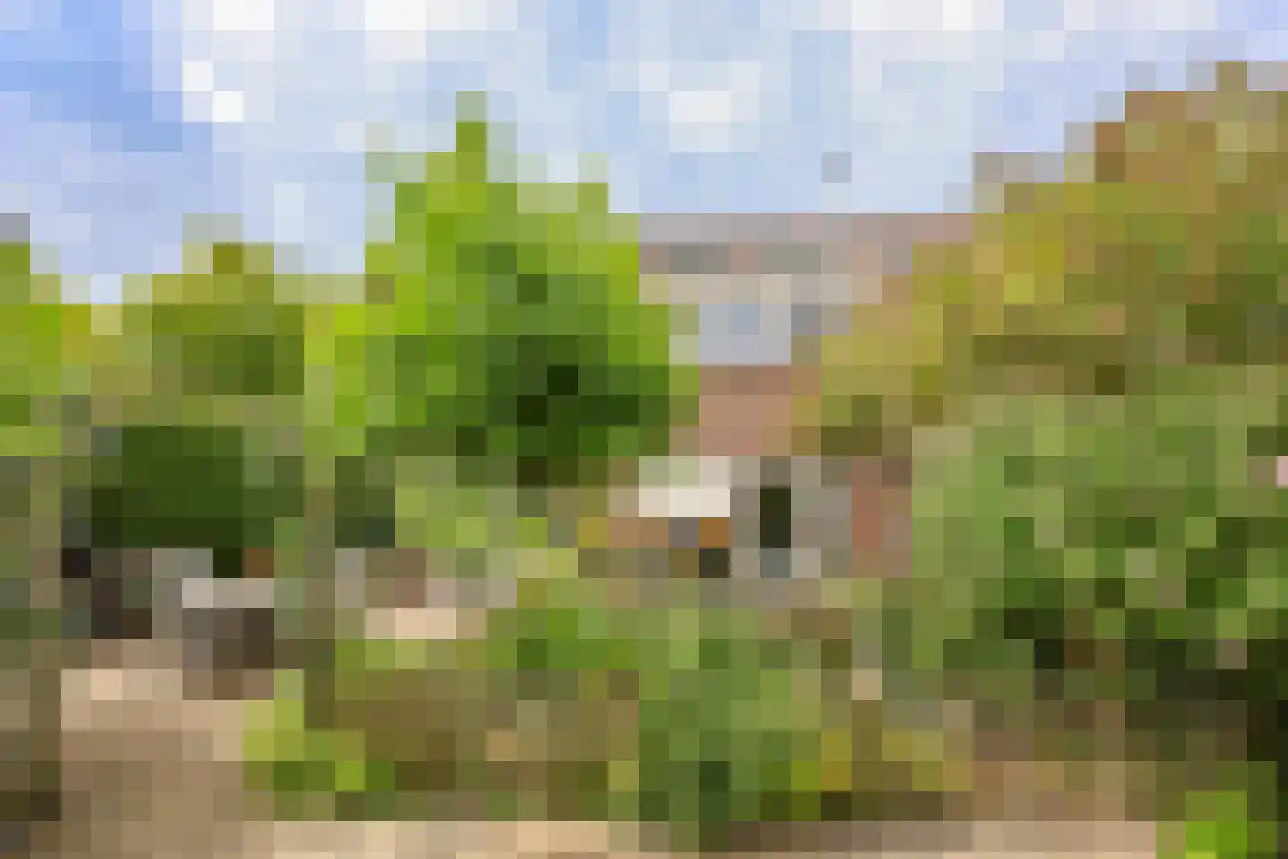 Amersfoortweg 9 Almere thumbnail 45