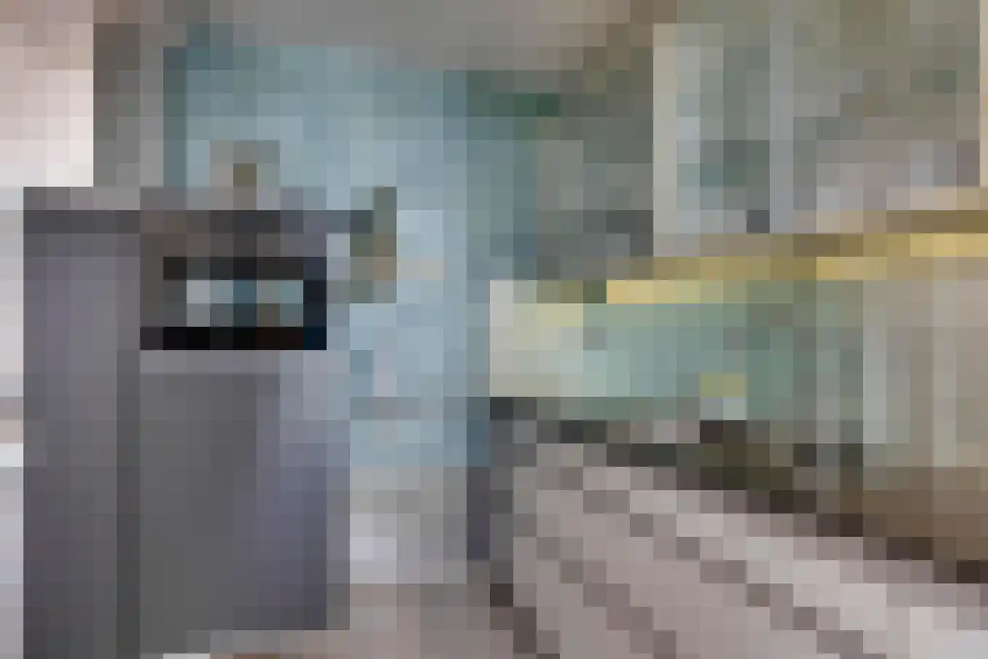 Amerslosestraat 22 Reuver thumbnail 14