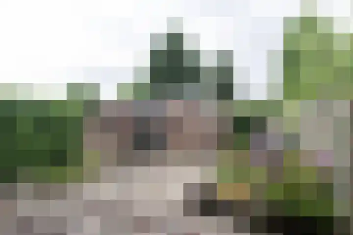 Amerslosestraat 22 Reuver thumbnail 18