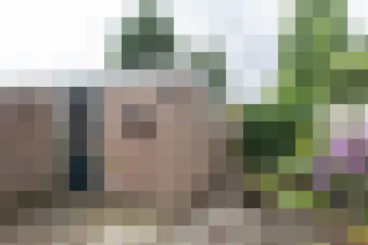 Amerslosestraat 22 Reuver thumbnail 19
