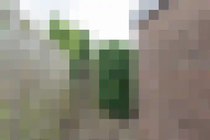 Amerslosestraat 22 Reuver thumbnail 20