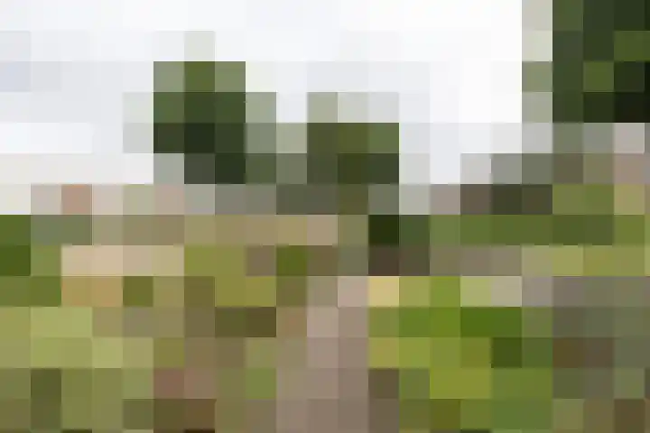 Amerslosestraat 22 Reuver thumbnail 21