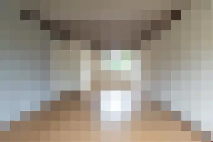 Amerslosestraat 22 Reuver thumbnail 4